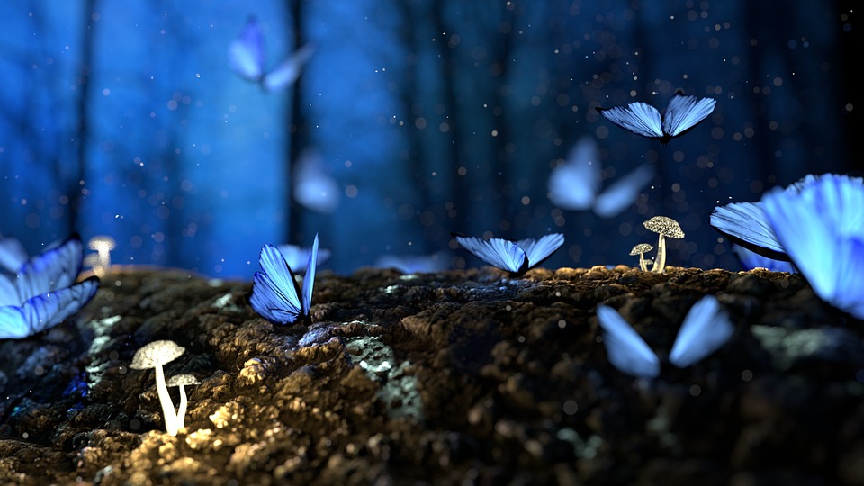 Foods that induce lucid dreams
